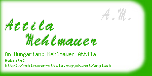 attila mehlmauer business card